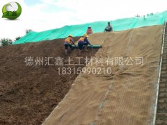 植生毯為什么可以護坡？